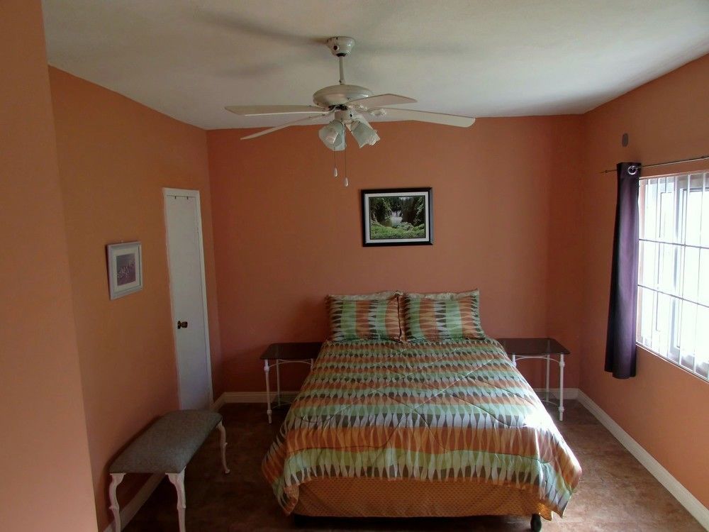 Centrally Located Guest Apartments Кингстон Экстерьер фото